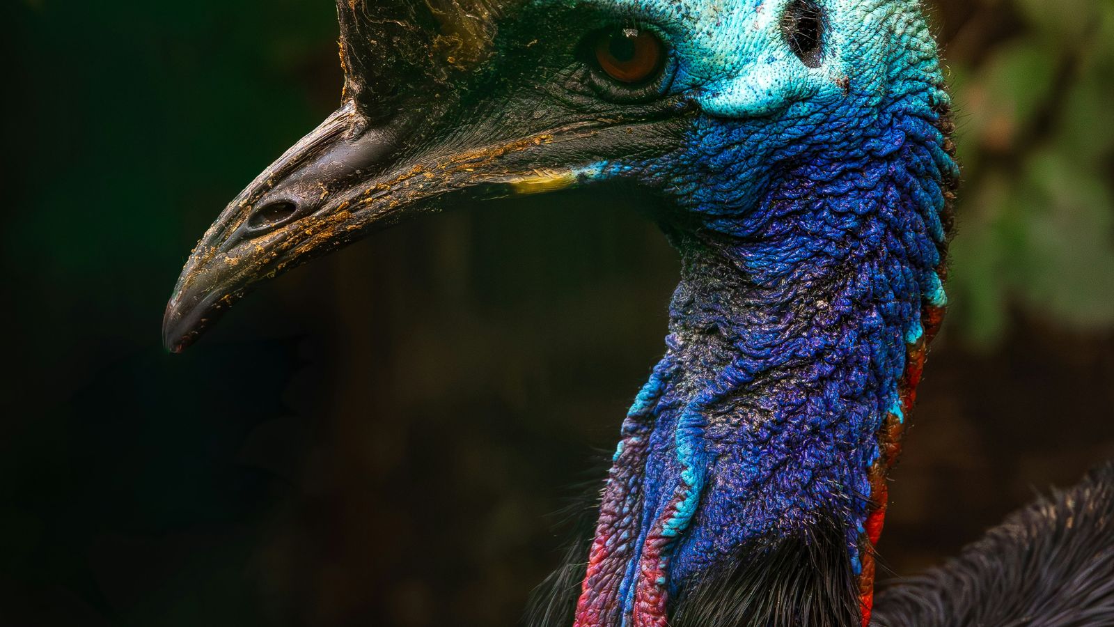 Sergey Antonov on Unsplash