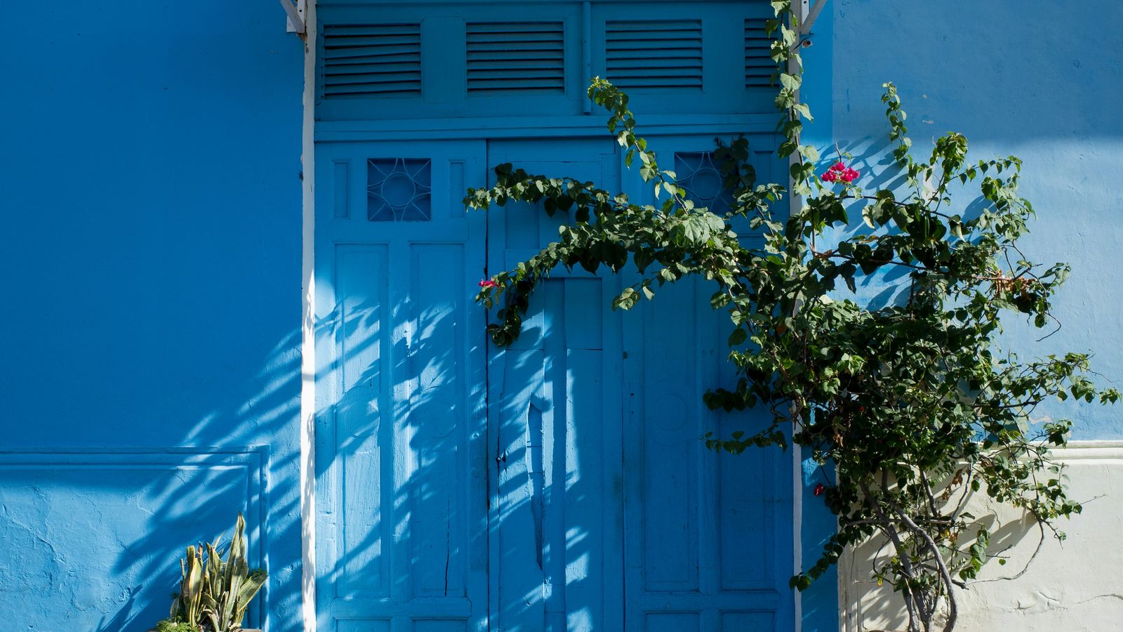 Darya Luganskaya on Unsplash