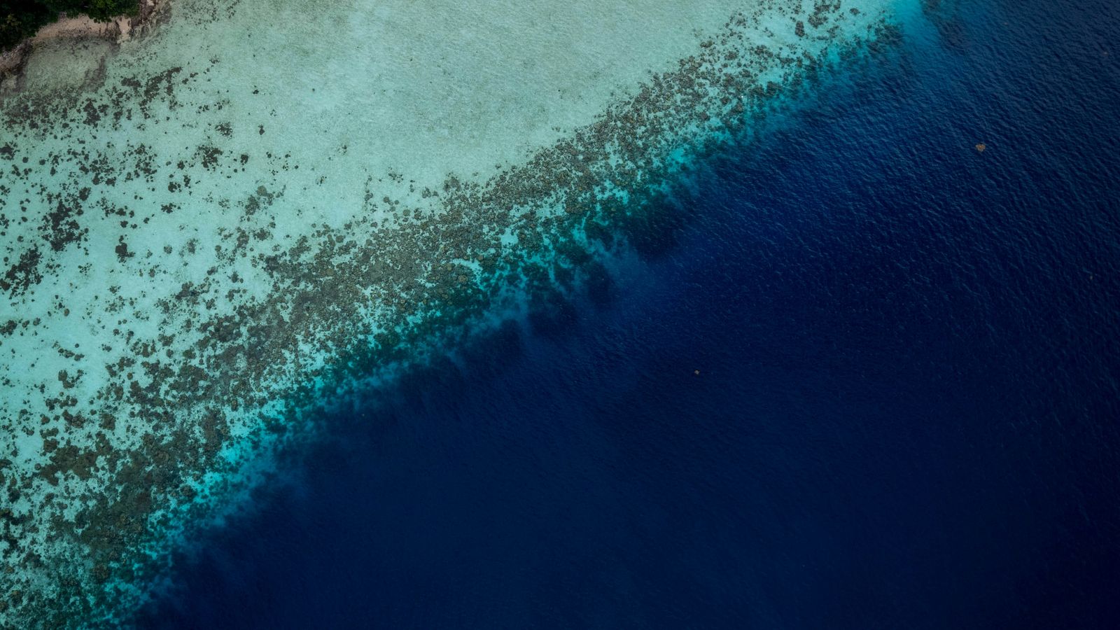 Bernd Dittrich on Unsplash