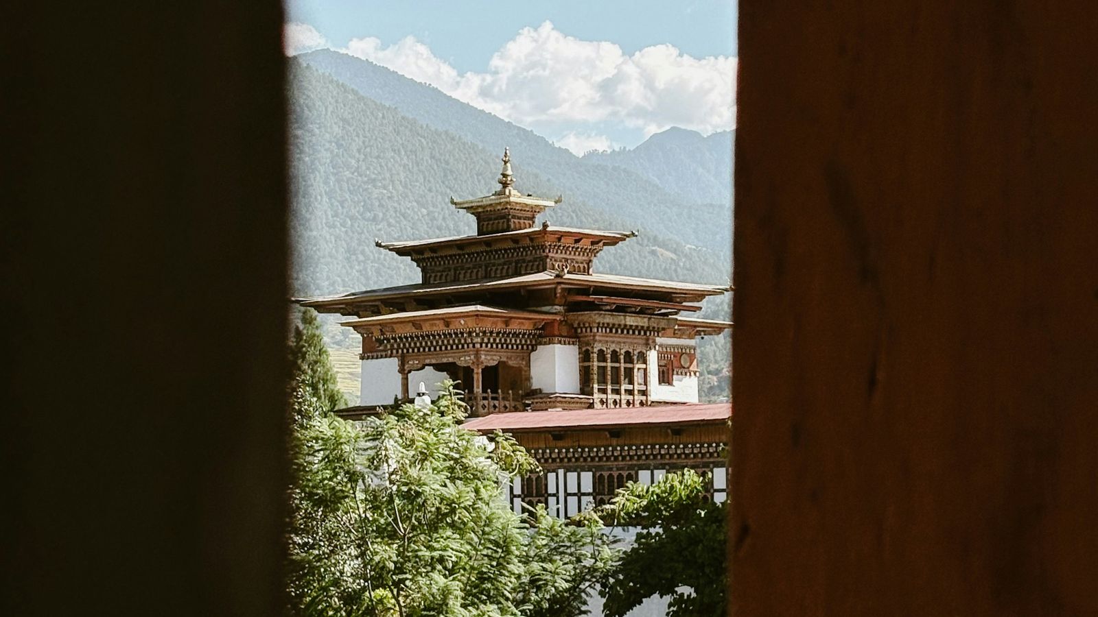 Rama Krushna Behera on Unsplash