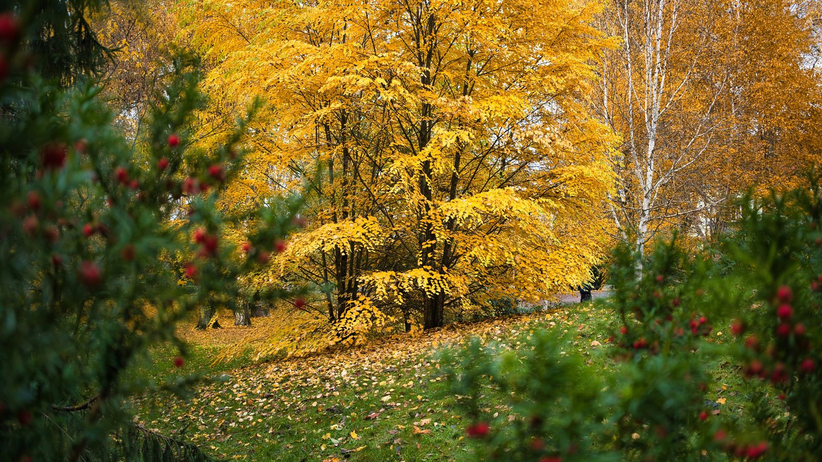 Maksim Shutov on Unsplash