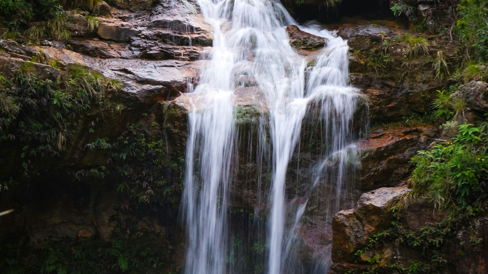 Eileen Brathwaite on Unsplash