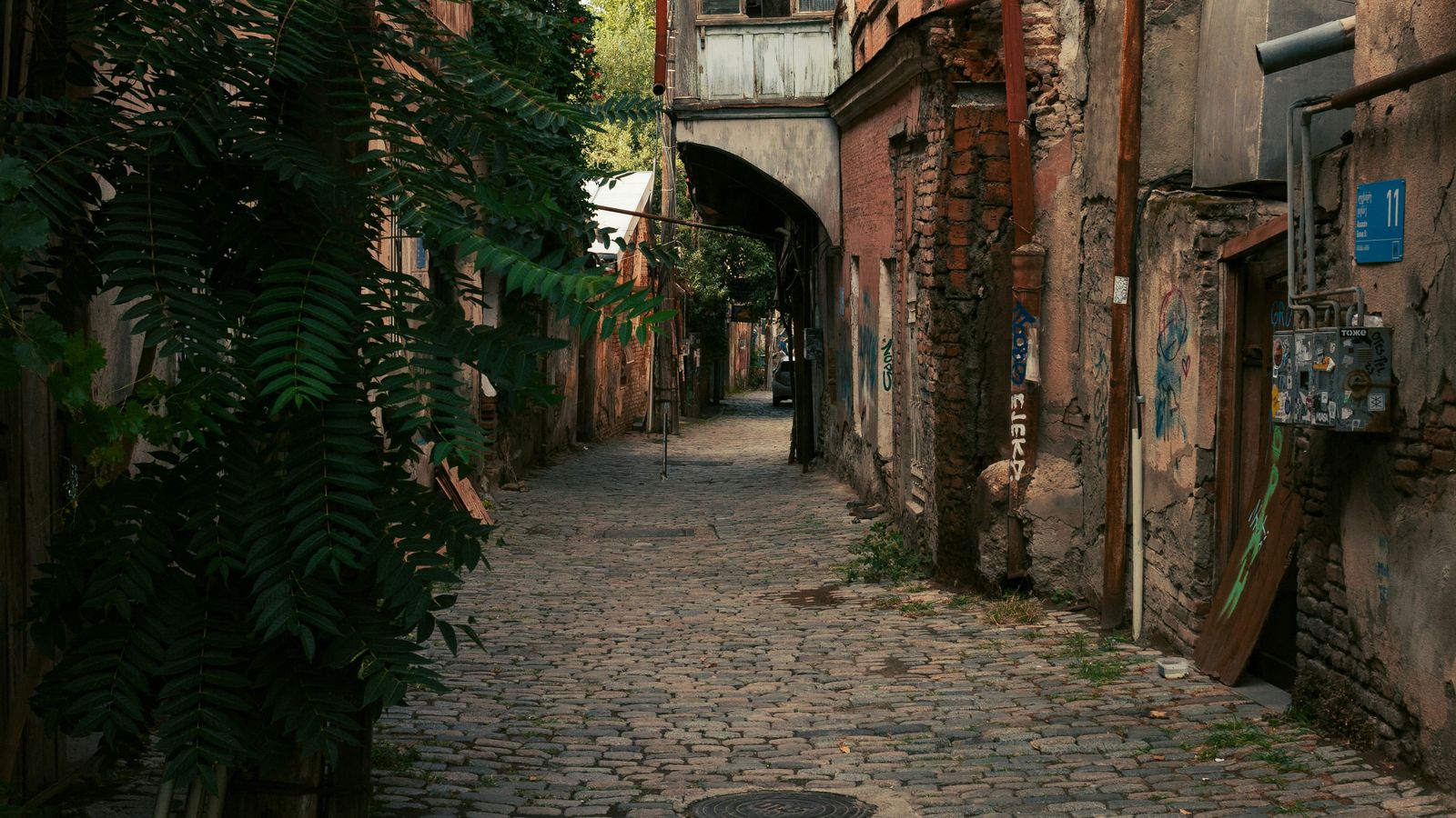 Nikita Pishchugin on Unsplash