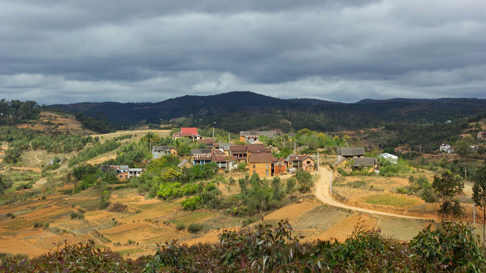 Sitraka Mamy Tantely Andriamialijaona on Unsplash