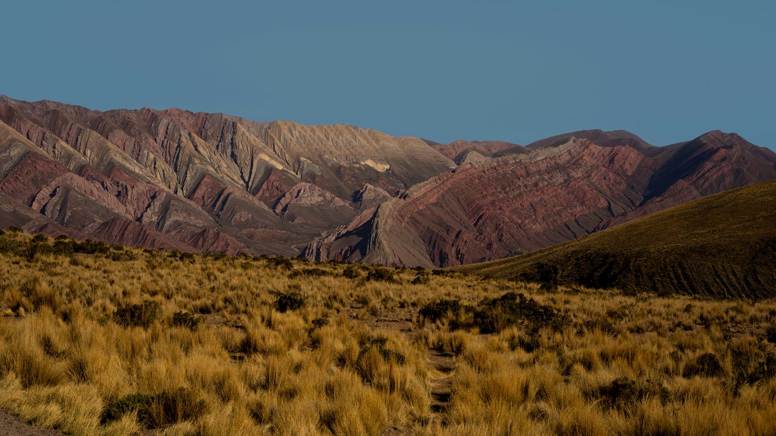 Mauro Mathys on Unsplash