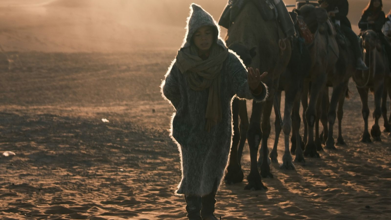 Yuqi Liu on Unsplash