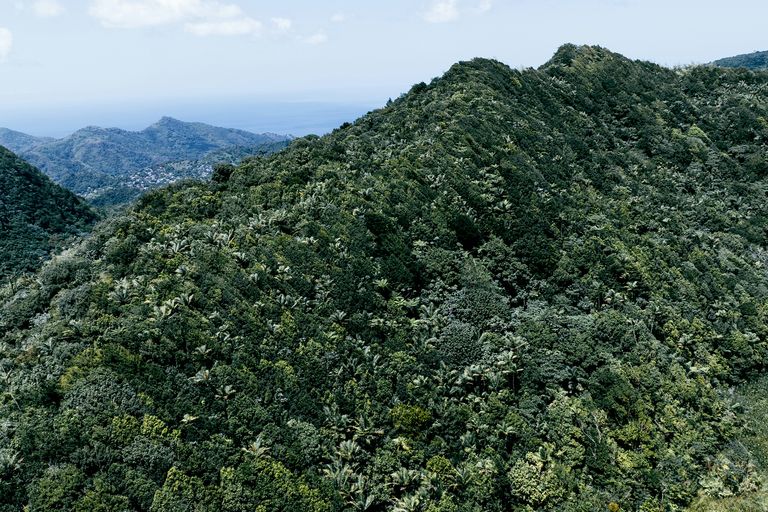 Morne Trois Pitons