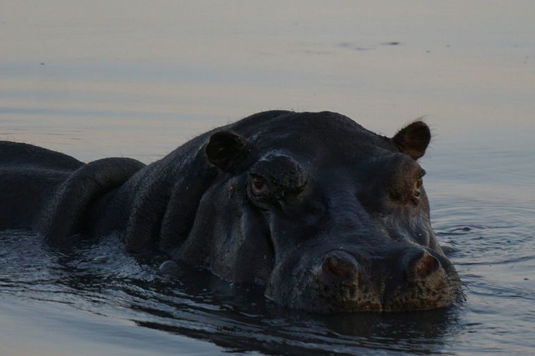 Parc national de la Ruvubu