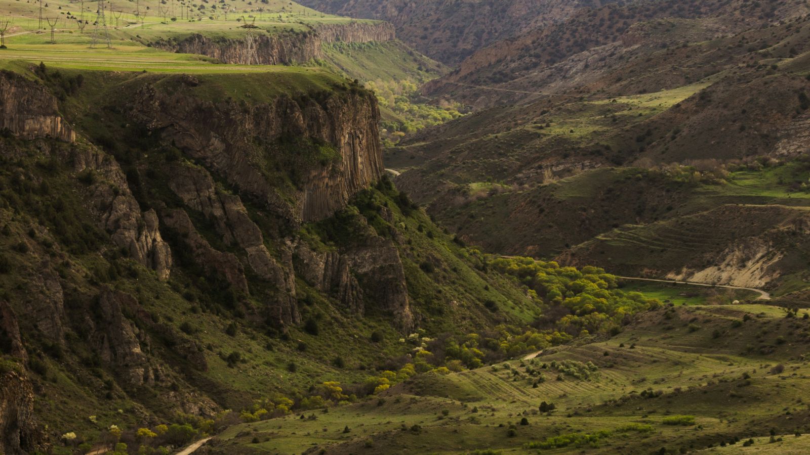 Ash Shvoyan on Unsplash