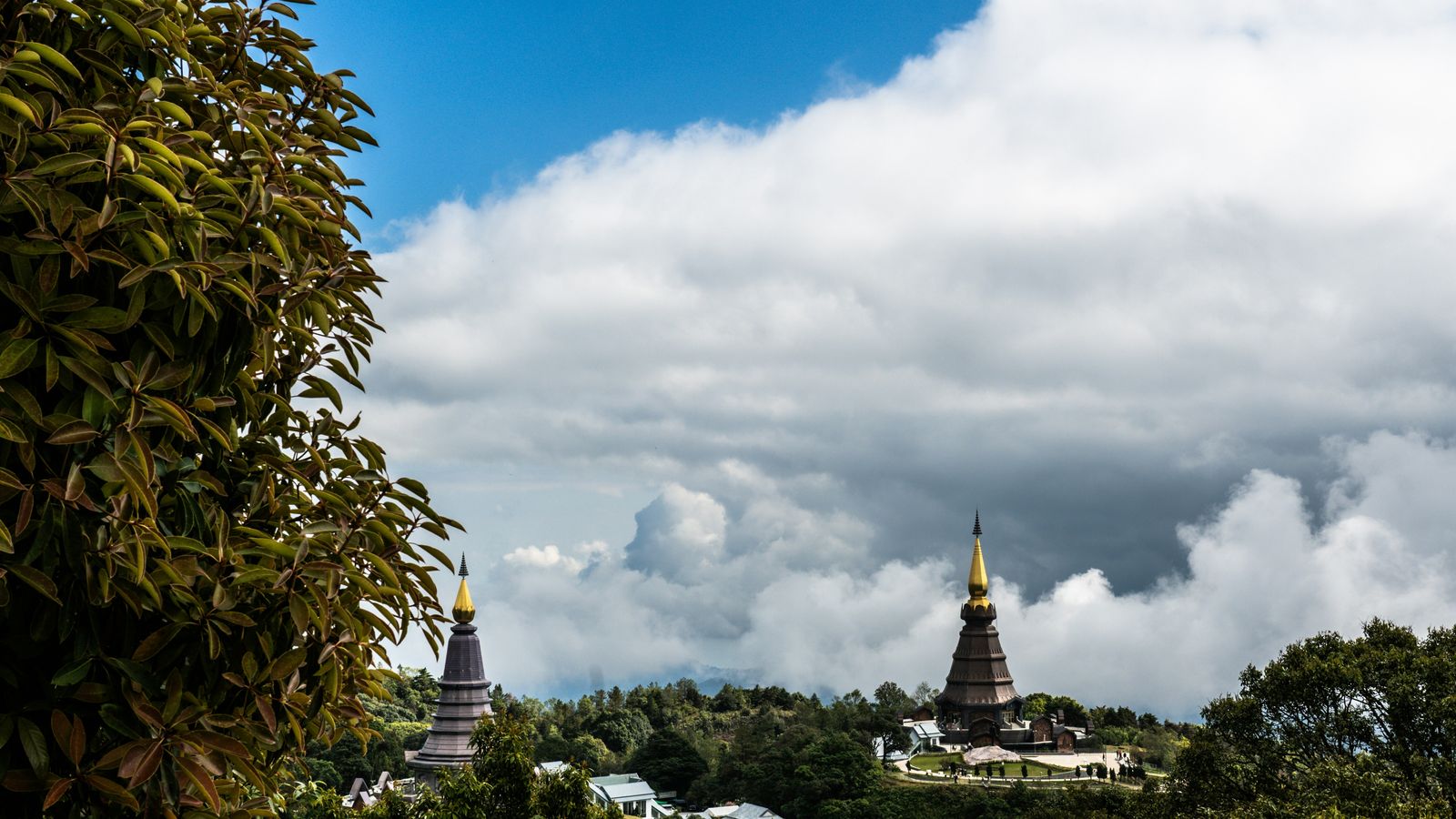 Vishal Chokkala on Unsplash