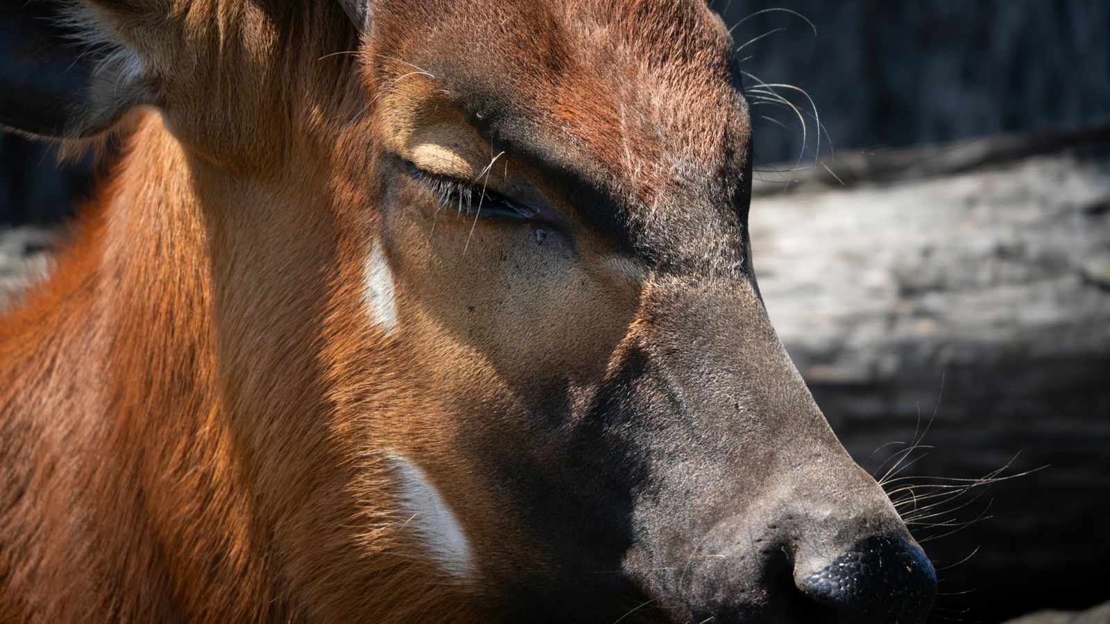 Sam on Unsplash