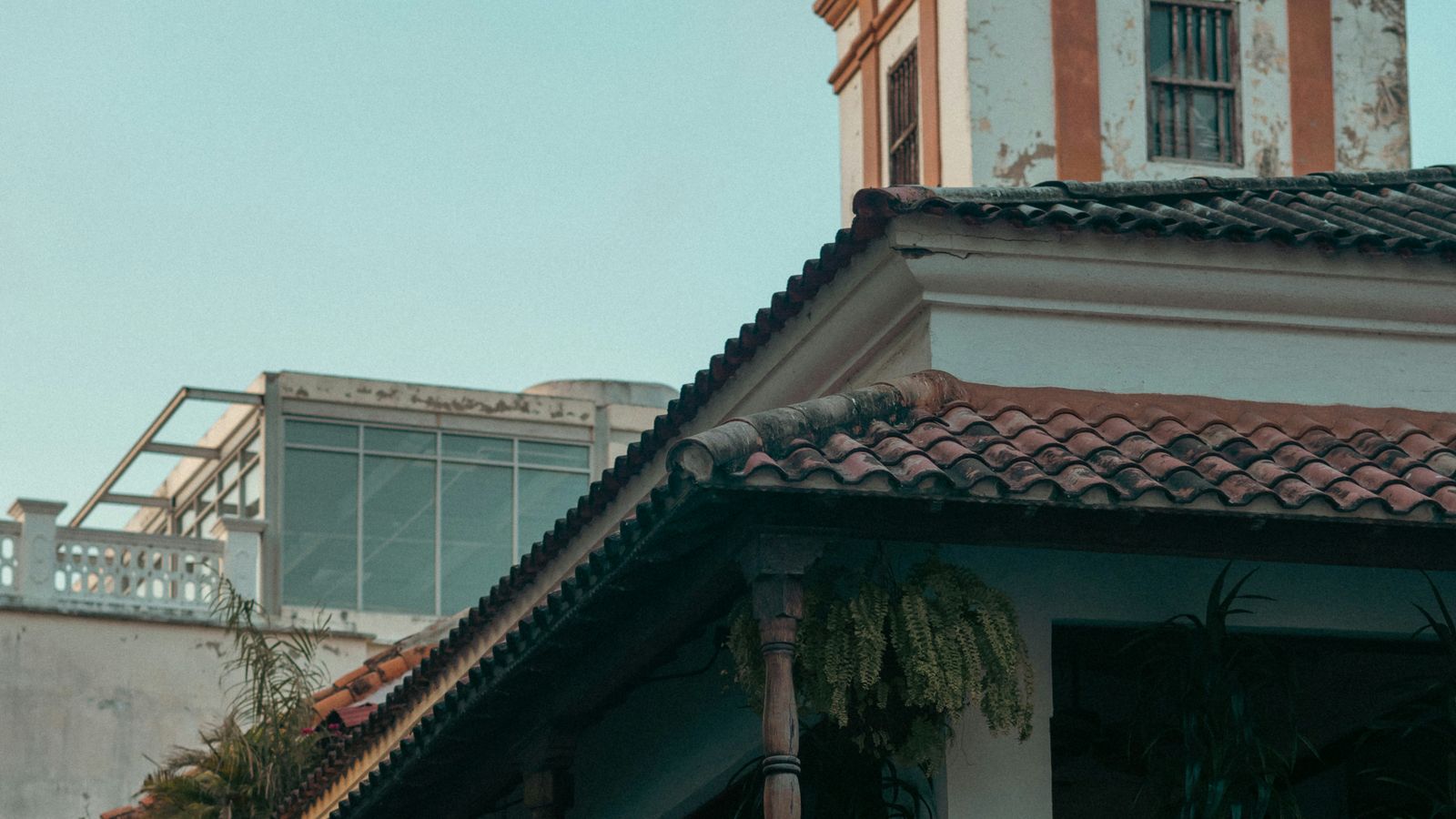 Zane Bolen on Unsplash