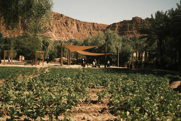 AlUla