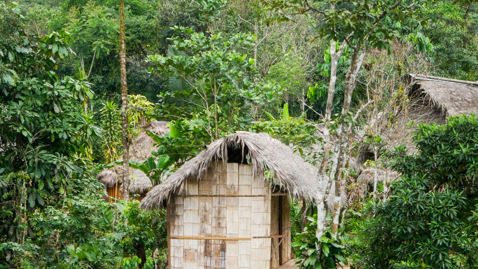 Sophia DiDonato on Unsplash