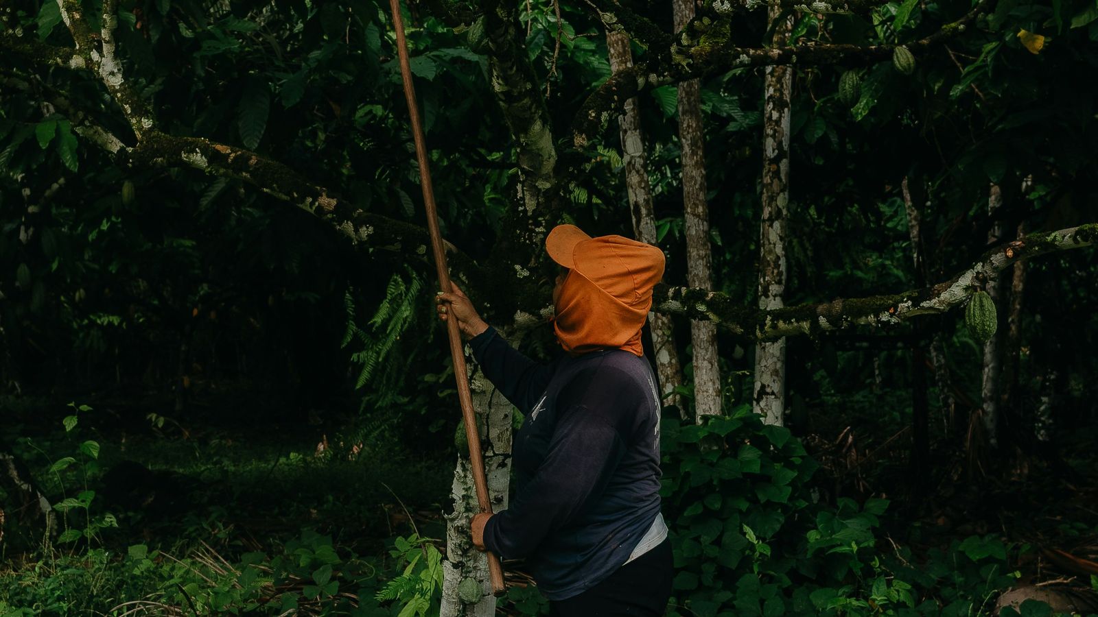 Kawê Rodrigues on Unsplash