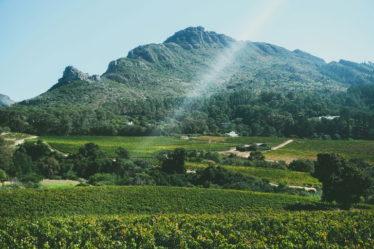 Stellenbosch