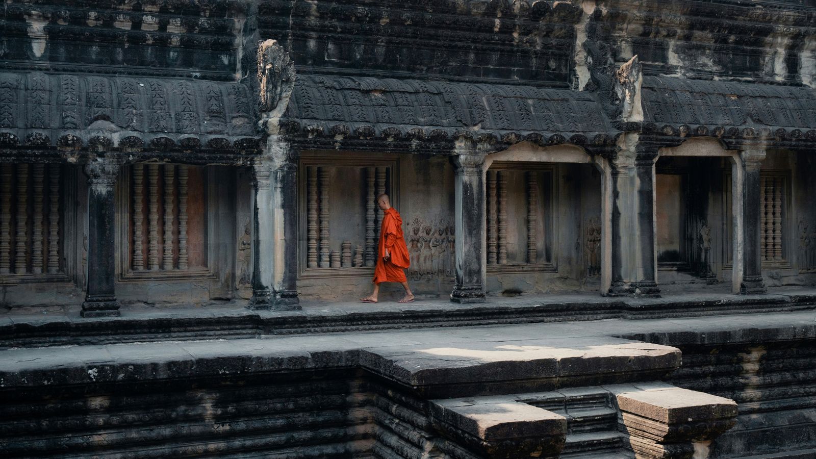 Evgeny Matveev on Unsplash