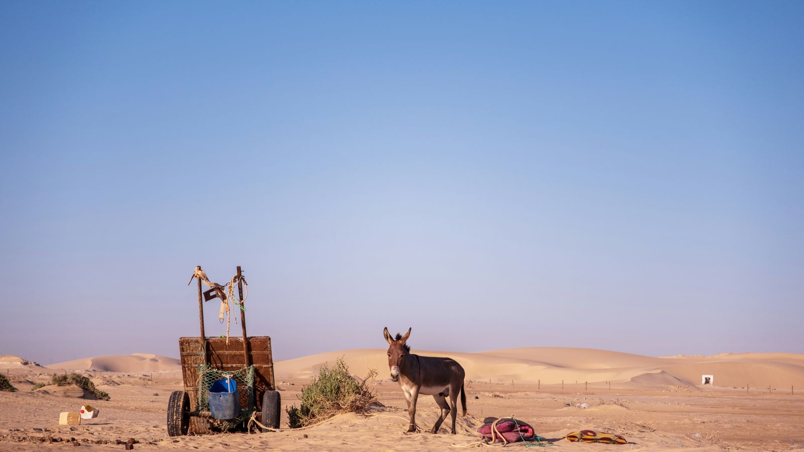 Baptiste Riethmann on Unsplash