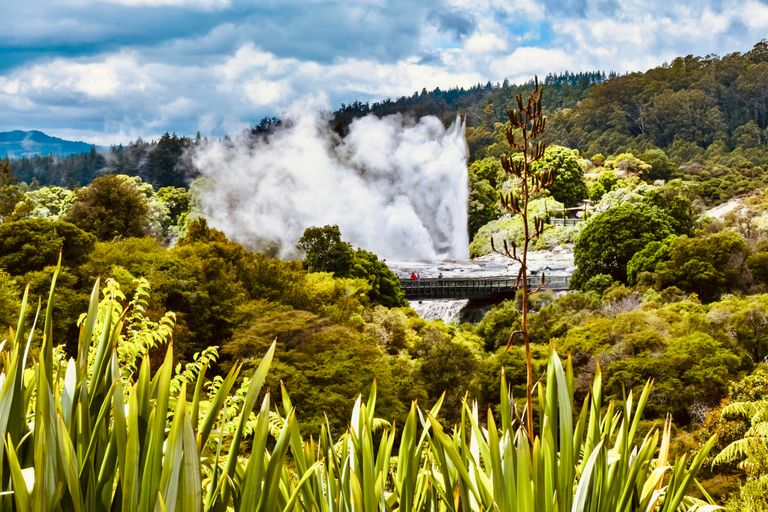 Rotorua