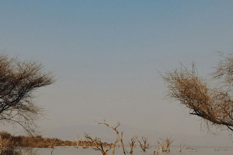 Lac Tchad