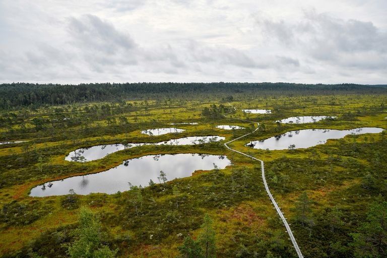 Parc national de Lahemaa