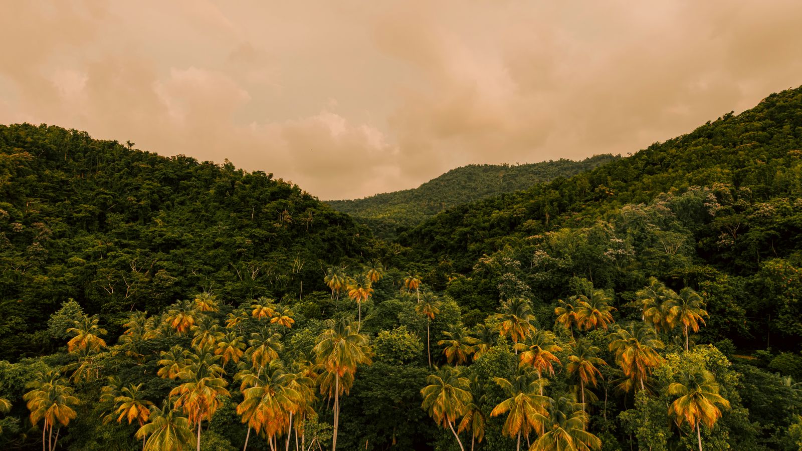 Hugh Whyte on Unsplash