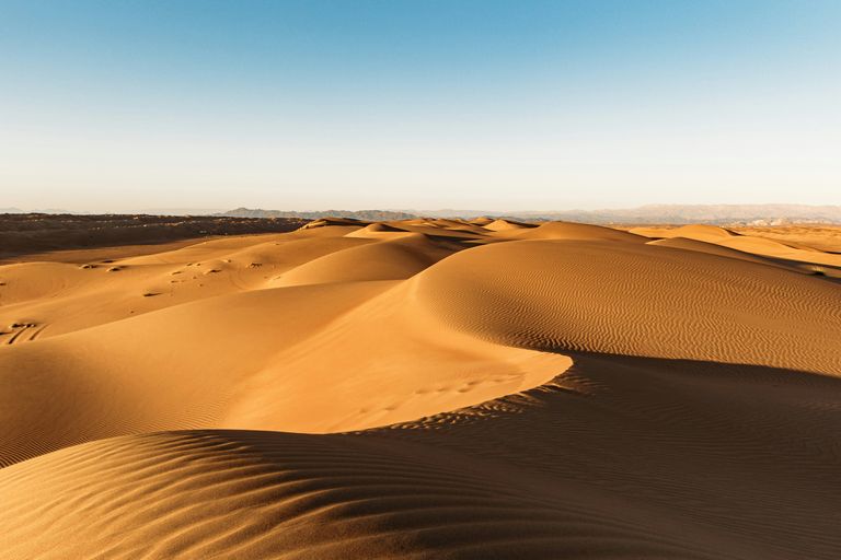 Wahiba Sands