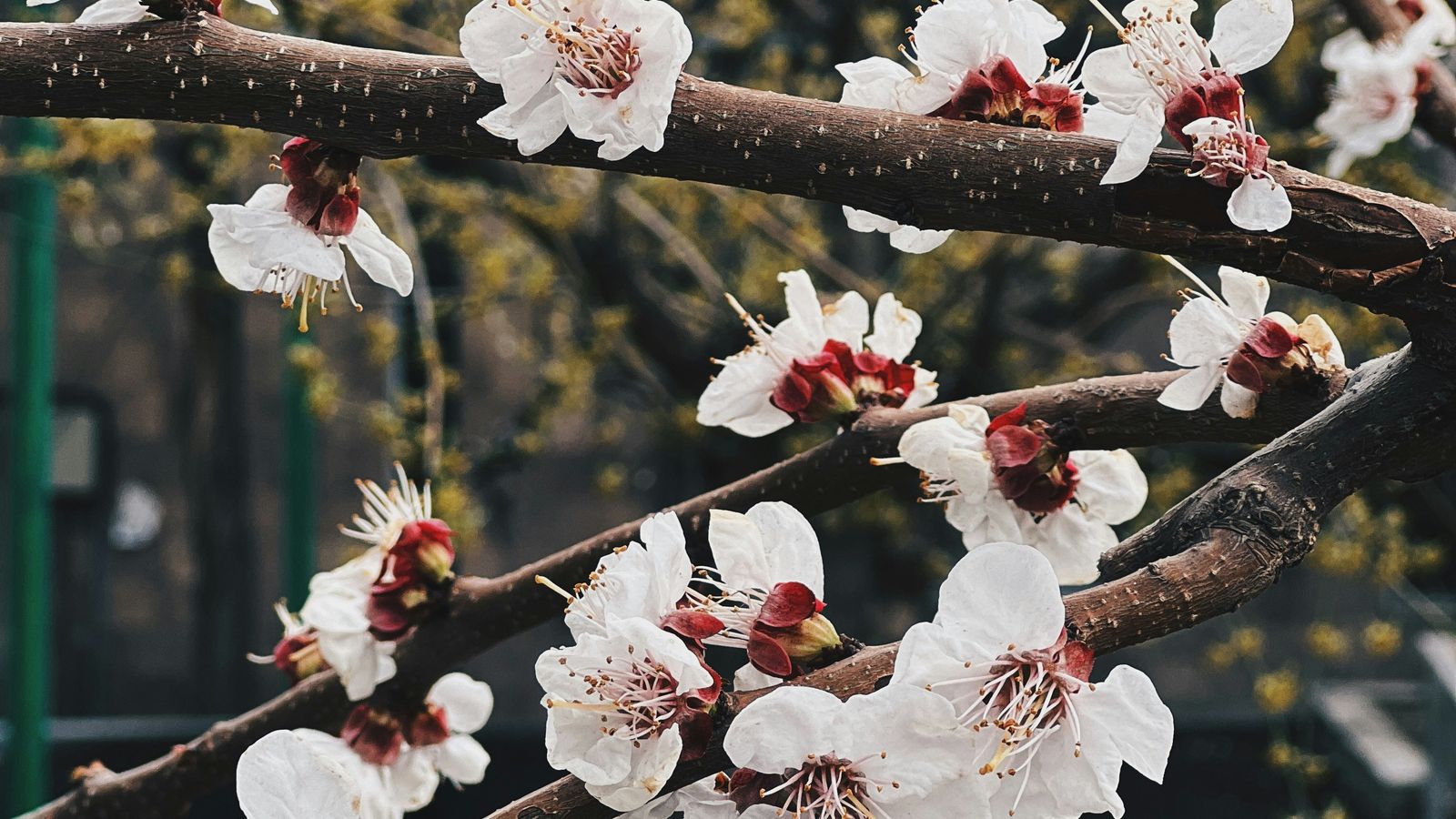 Suryagayathri C.K on Unsplash