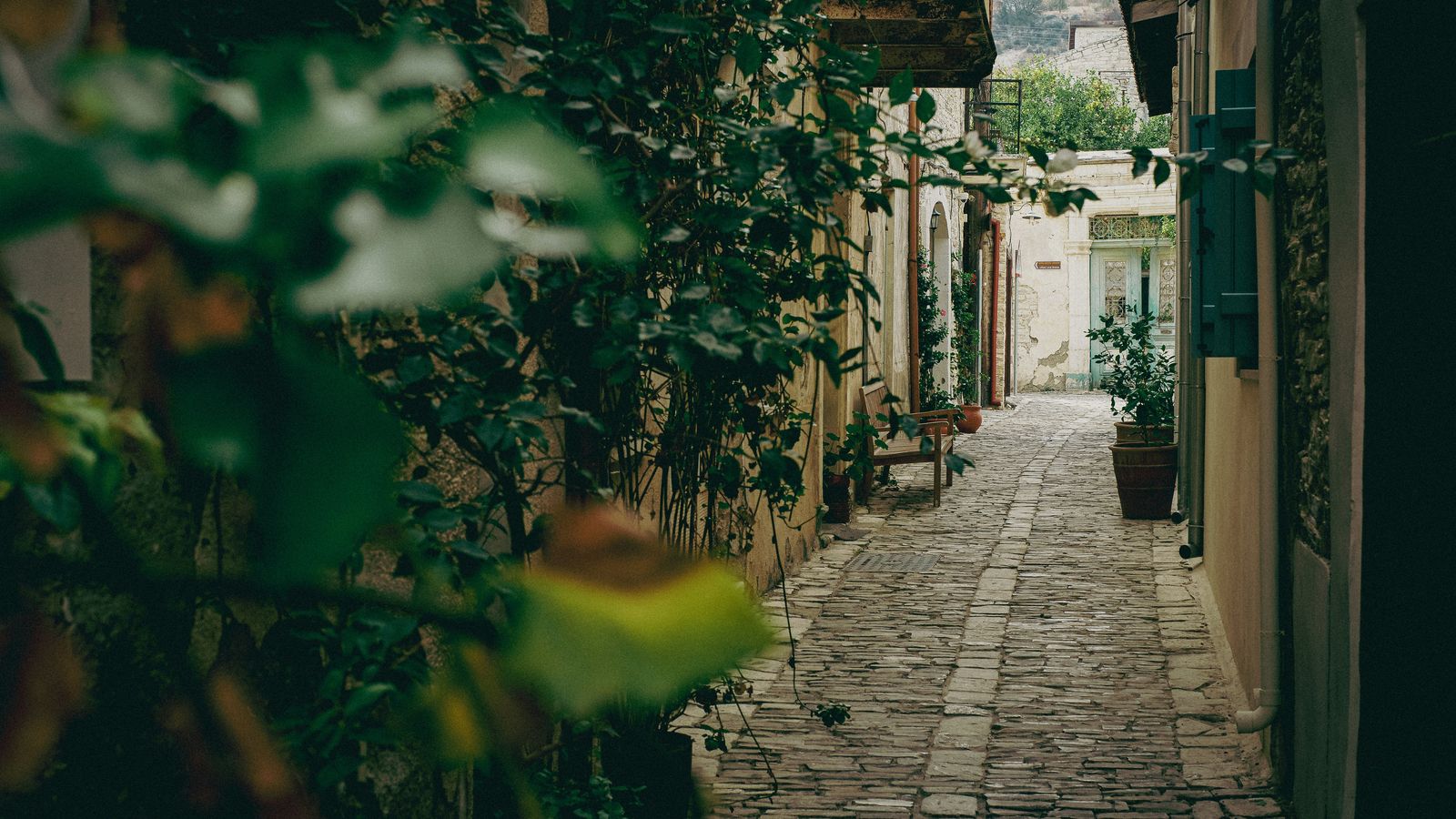 Marina Vilkou on Unsplash