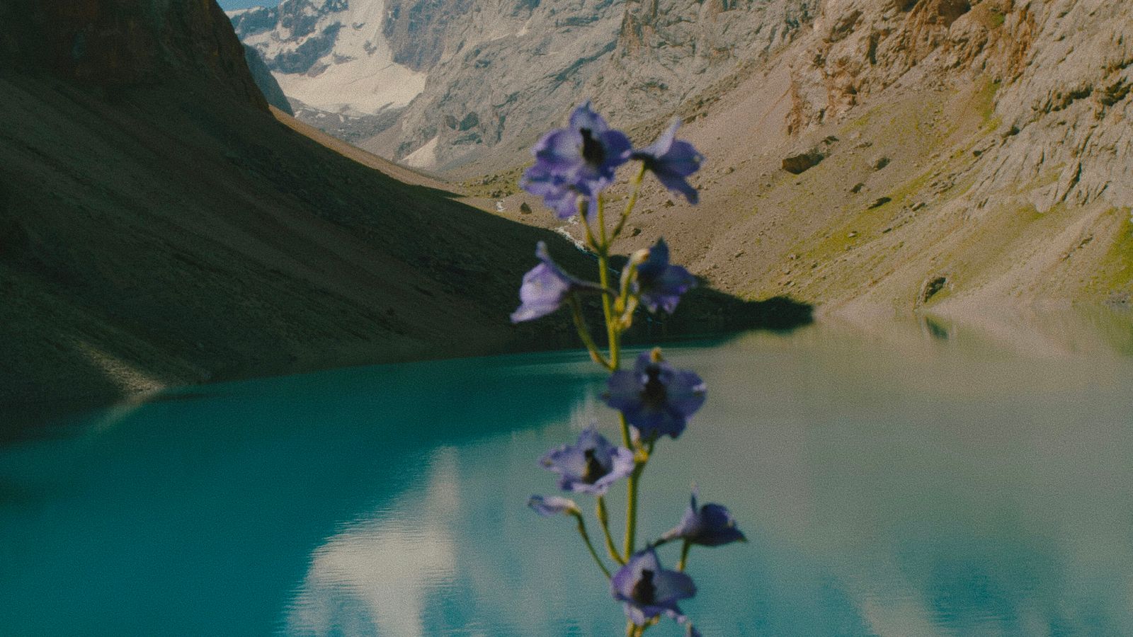 Hanna Lazar on Unsplash